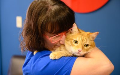Our Careful and Common Sense Approach to Vaccines  We Customize the Plan for Your Dog and Cat