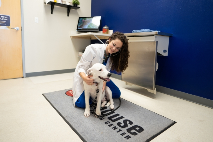 Best Veterinary Hospital In Austin, TX Firehouse 183