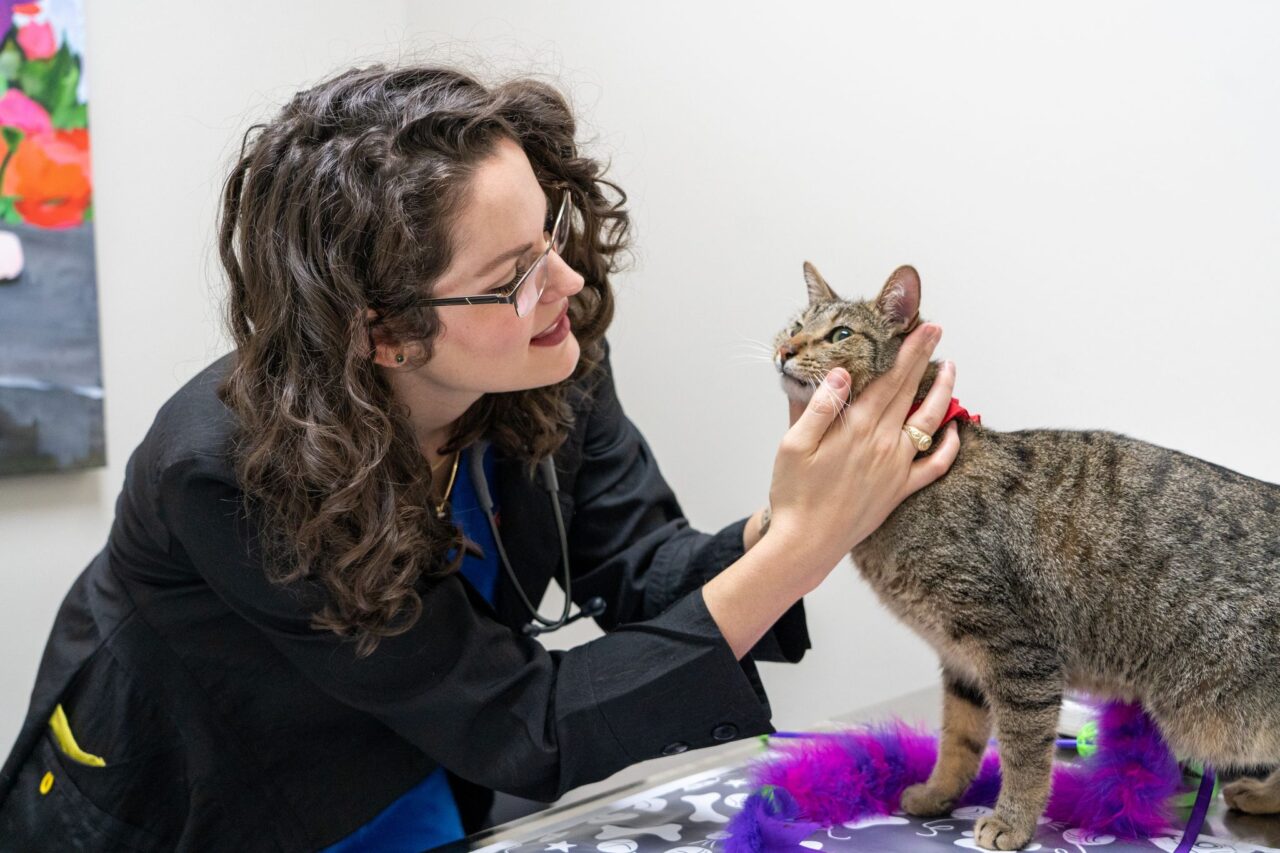 About Firehouse Animal Health Center 183 Vet In Austin, TX 78750