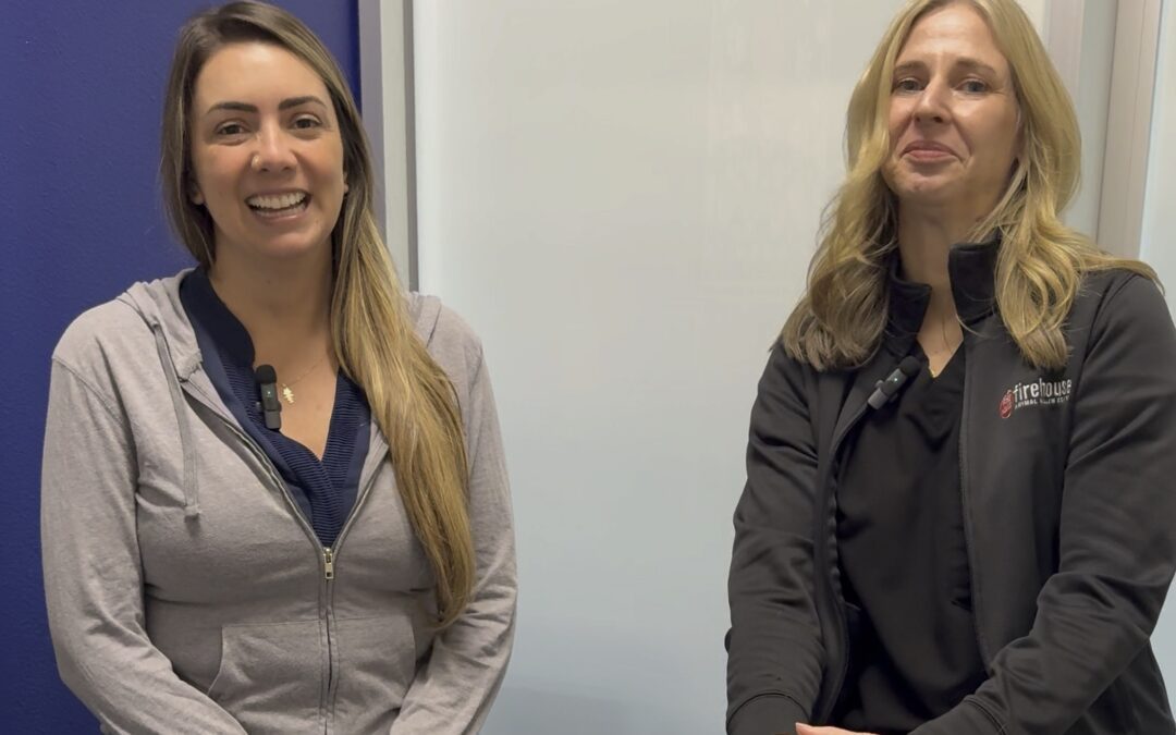What’s too much exercise for dogs?  Drs Barbara Boechat and Michelle Henthorne offer advice