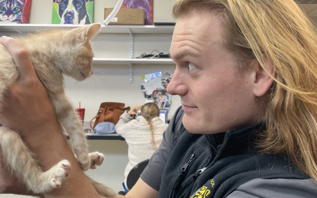 When Your Cat Says “No” to Food: Call The Vet!  Next steps to ensure your cat’s well-being