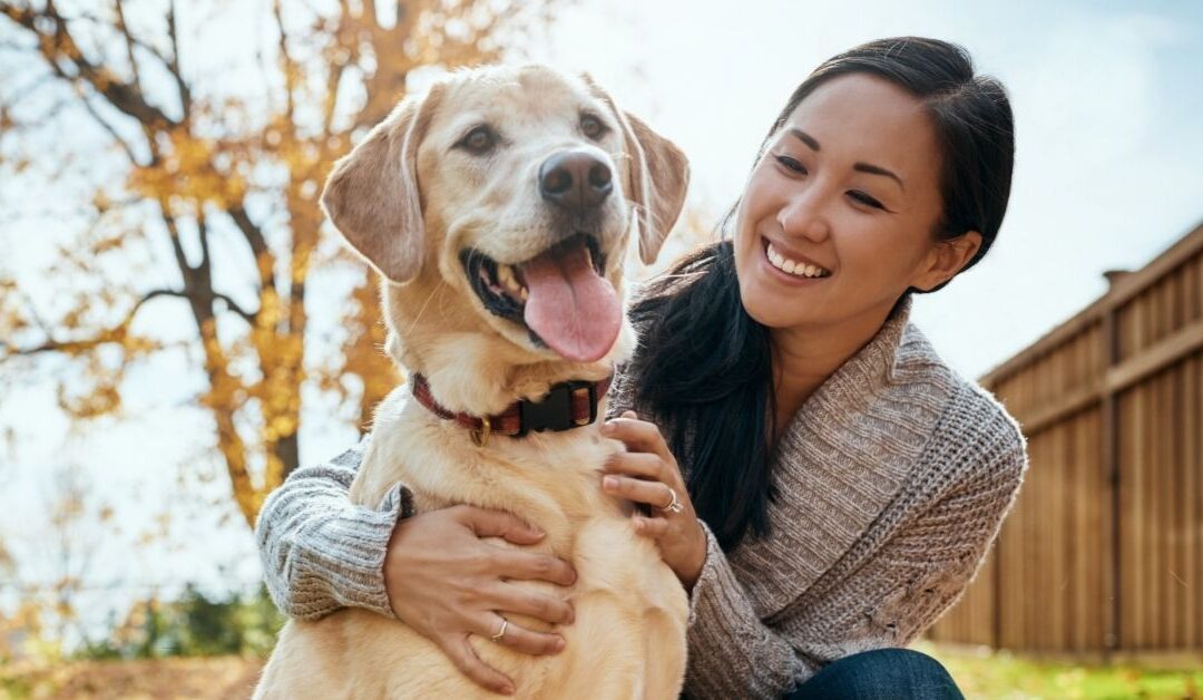 Pet Parents: Outsmart Nature’s Predators  5 ways to keep your cats & dogs safe from coyotes, bobcats, and owls