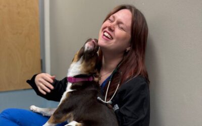 5 Ways to Support Pets With Separation Anxiety