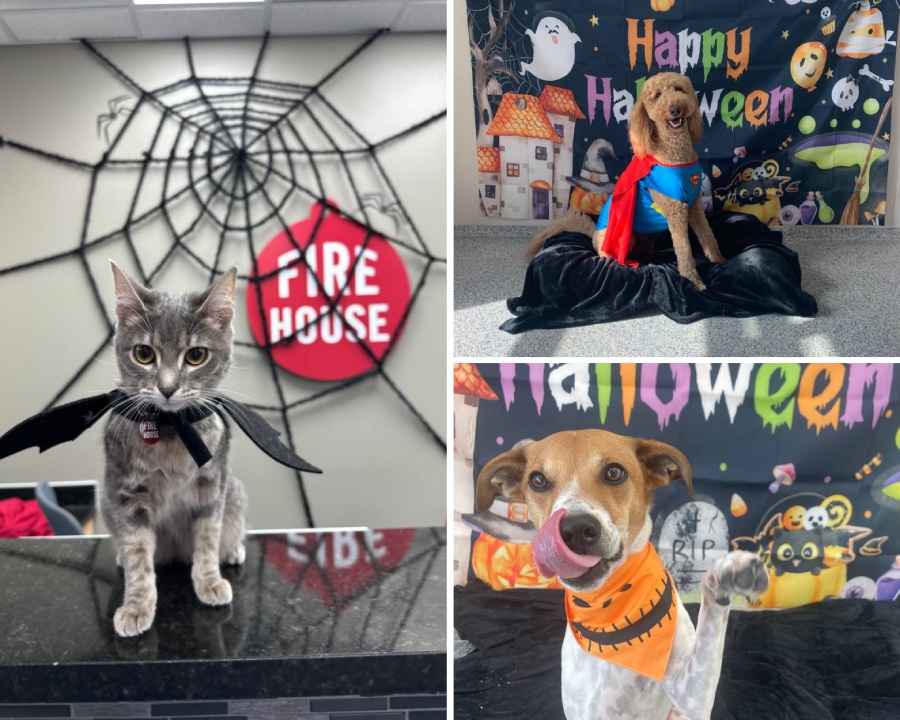 Street Wear Fashion Photo Collage Instagram Post