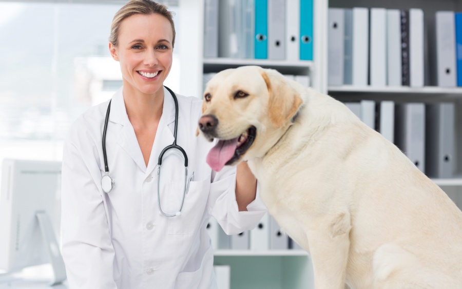 Confident female vet with dog