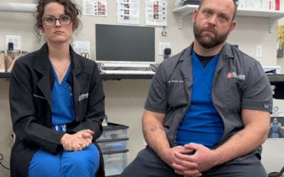 How Board-Certified Mobile Surgeons Enhance Your Pet’s Care